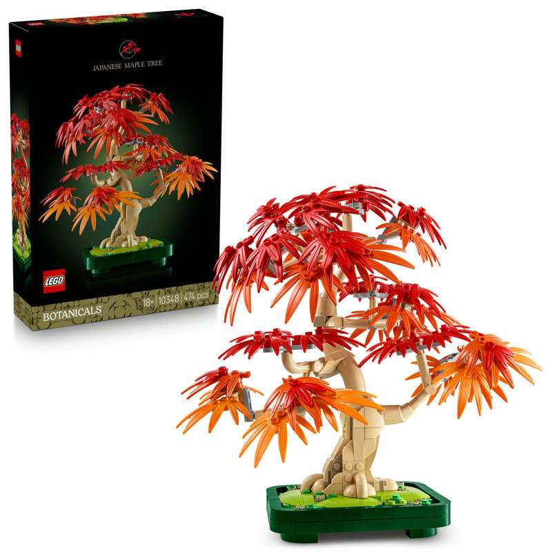 10348-Lego-EOL-Sammler-AFOL-Steinebank-Rarität-Box.jpg