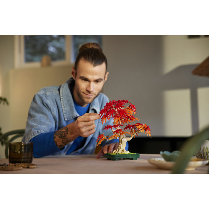 10348-Lego-EOL-Sammler-AFOL-Steinebank-Rarität-Life.jpg