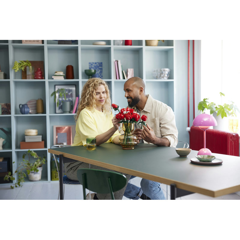 10328-Lego-EOL-Sammler-AFOL-Steinebank-Rarität-Life.jpg