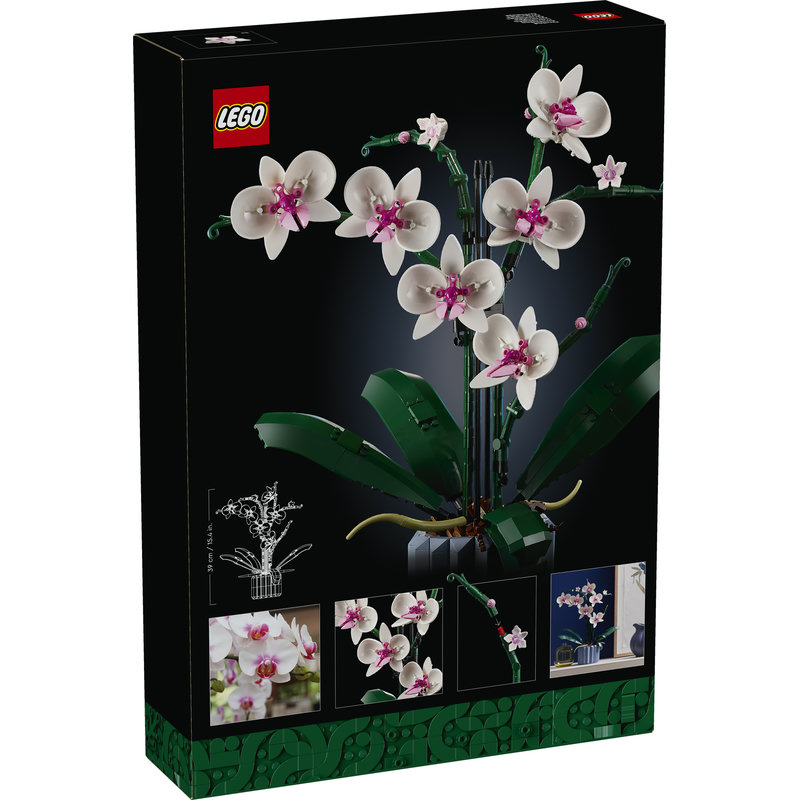 10311-Lego-EOL-Sammler-AFOL-Steinebank-Rarität-Back.jpg