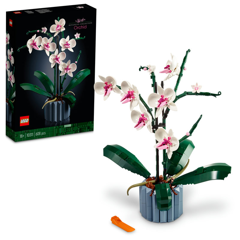 10311-Lego-EOL-Sammler-AFOL-Steinebank-Rarität-Box.jpg