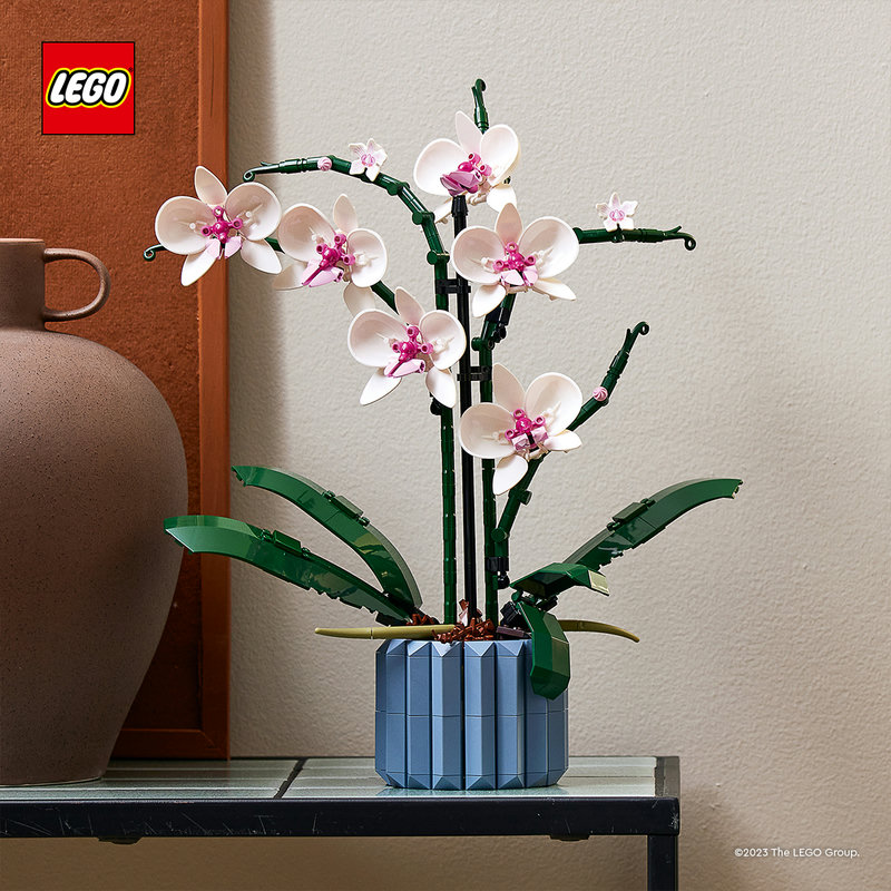 10311Lifestyle3-Lego-EOL-Sammler-AFOL-Steinebank-Rarität-.jpg