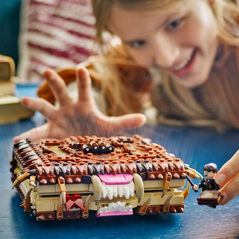 76449-Lego-EOL-Sammler-AFOL-Steinebank-Rarität-Life.jpg