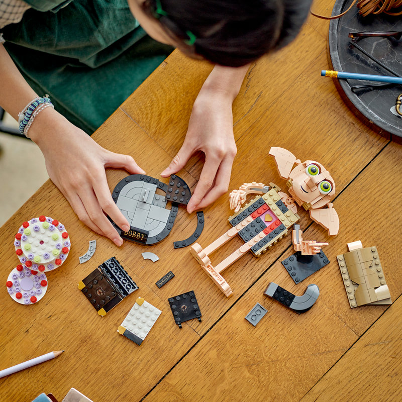 76421Lifestyle2-Lego-EOL-Sammler-AFOL-Steinebank-Rarität-.jpg