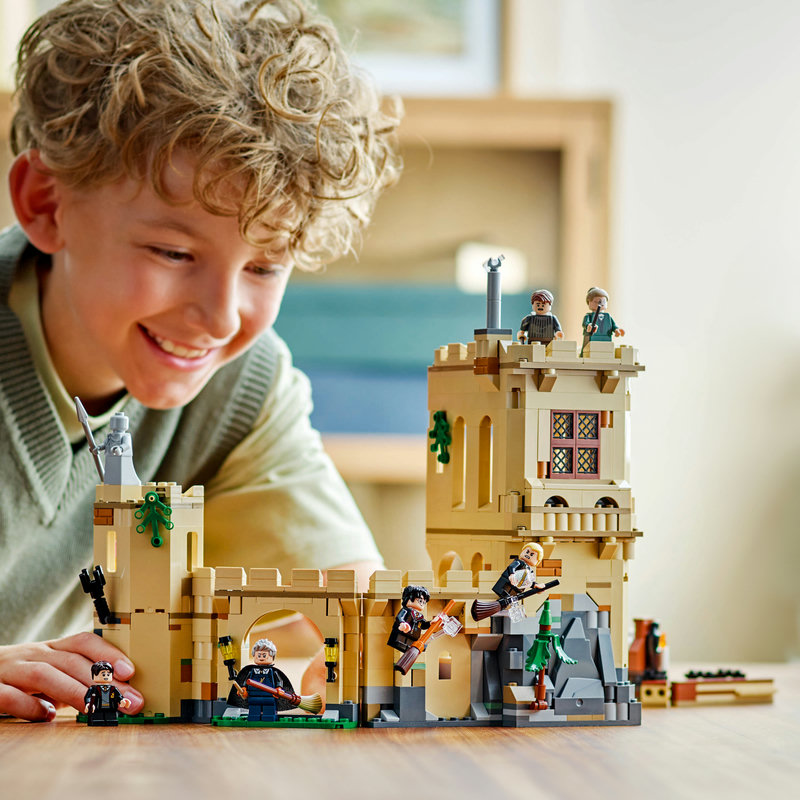 76447-Lego-EOL-Sammler-AFOL-Steinebank-Rarität-Life.jpg