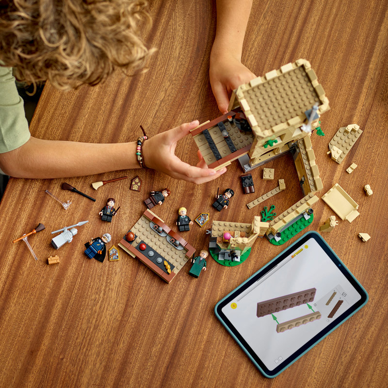 76447Lifestyle2-Lego-EOL-Sammler-AFOL-Steinebank-Rarität-.jpg