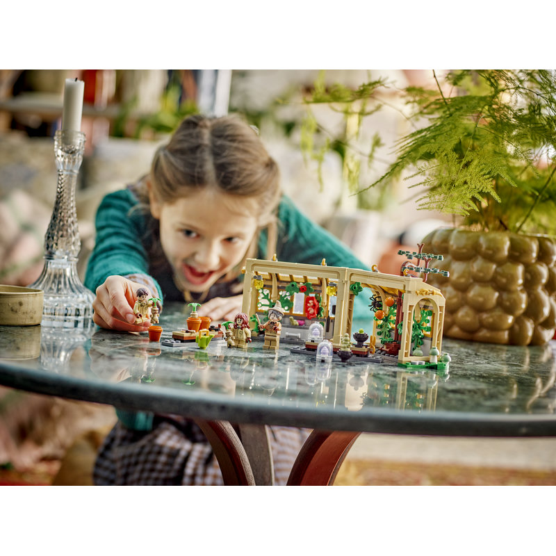 76445-Lego-EOL-Sammler-AFOL-Steinebank-Rarität-Life.jpg