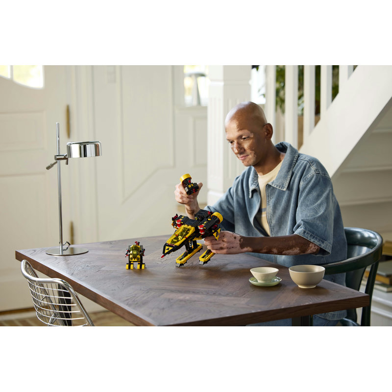 10355-Lego-EOL-Sammler-AFOL-Steinebank-Rarität-Life.jpg