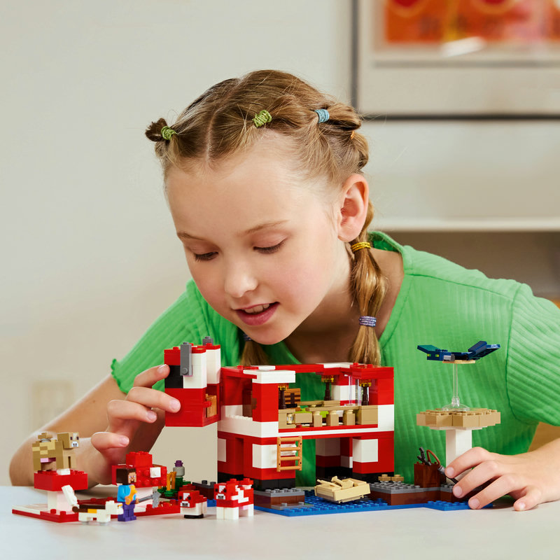 21270-Lego-EOL-Sammler-AFOL-Steinebank-Rarität-Life.jpg