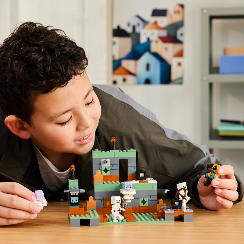 21271-Lego-EOL-Sammler-AFOL-Steinebank-Rarität-Life.jpg
