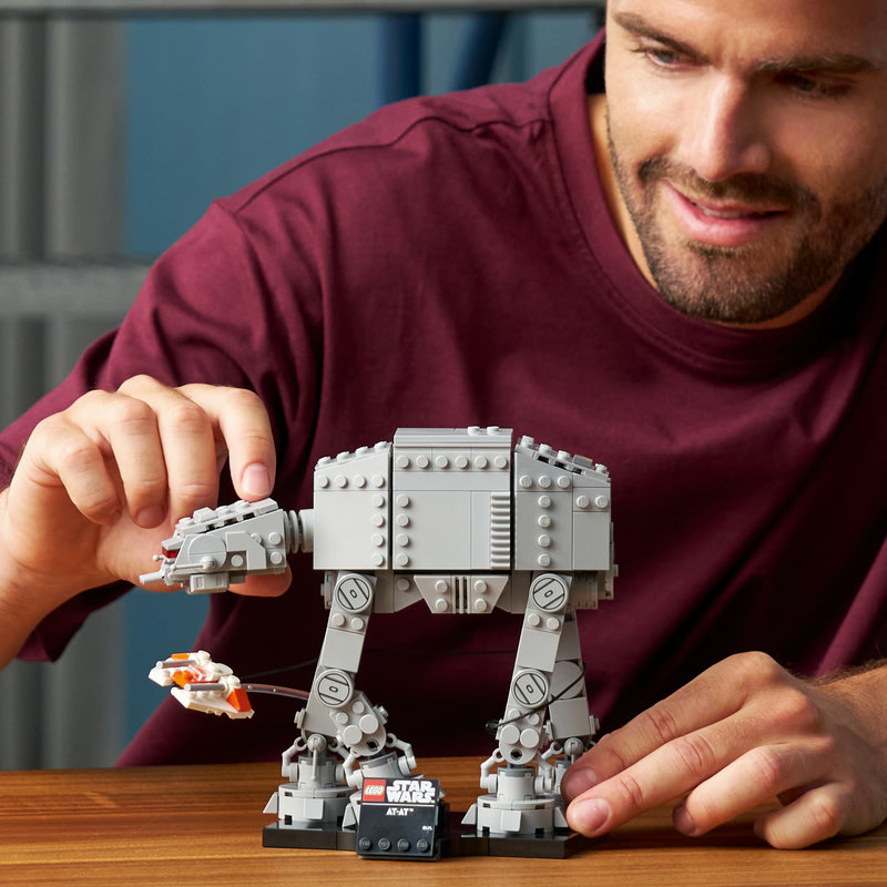 75440-Lego-EOL-Sammler-AFOL-Steinebank-Rarität-Life.jpg