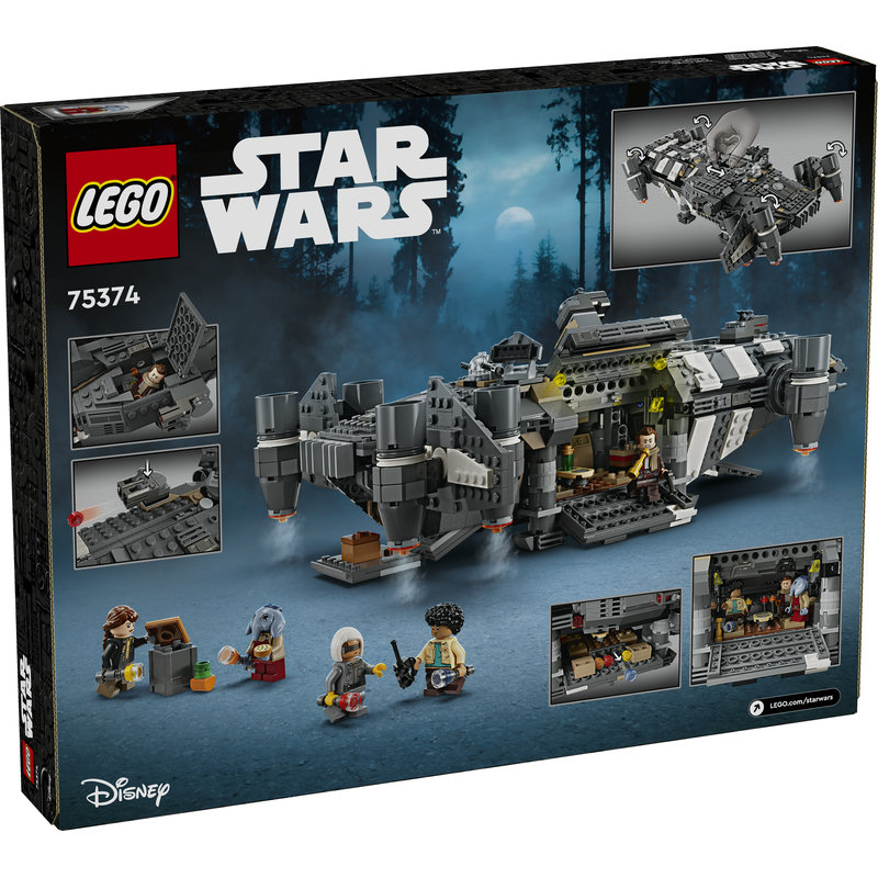 75374-Lego-EOL-Sammler-AFOL-Steinebank-Rarität-Back.jpg