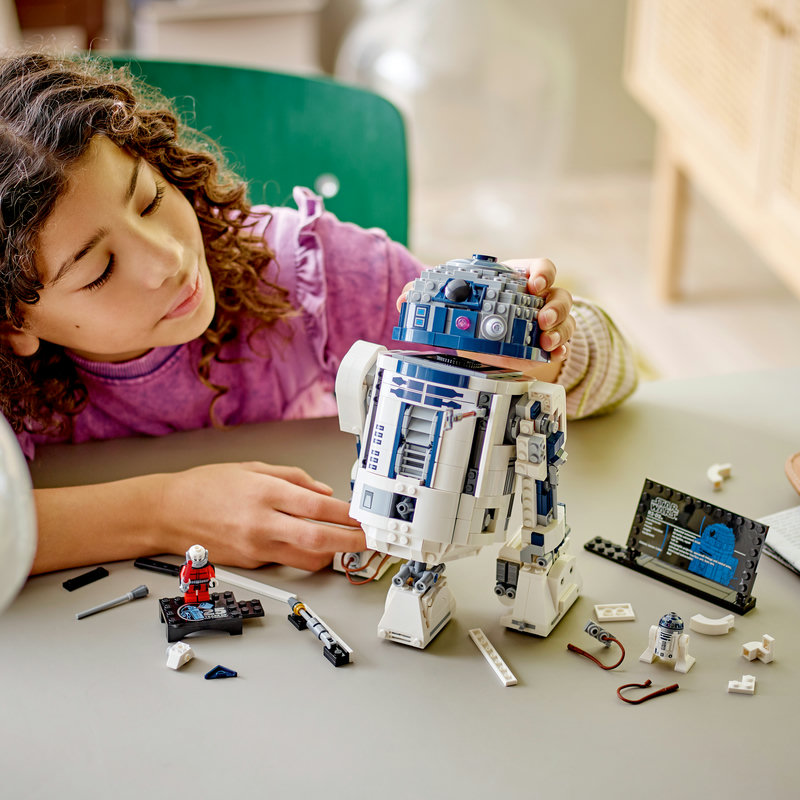 75379Build-Lego-EOL-Sammler-AFOL-Steinebank-Rarität-.jpg