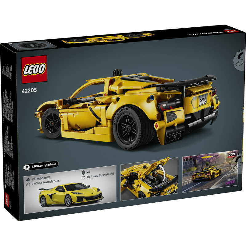 42205-Lego-EOL-Sammler-AFOL-Steinebank-Rarität-Back.jpg