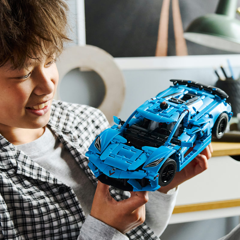 42217-Lego-EOL-Sammler-AFOL-Steinebank-Rarität-Life.jpg