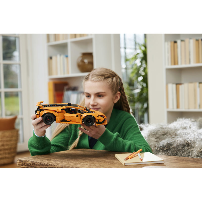 42196-Lego-EOL-Sammler-AFOL-Steinebank-Rarität-Life.jpg