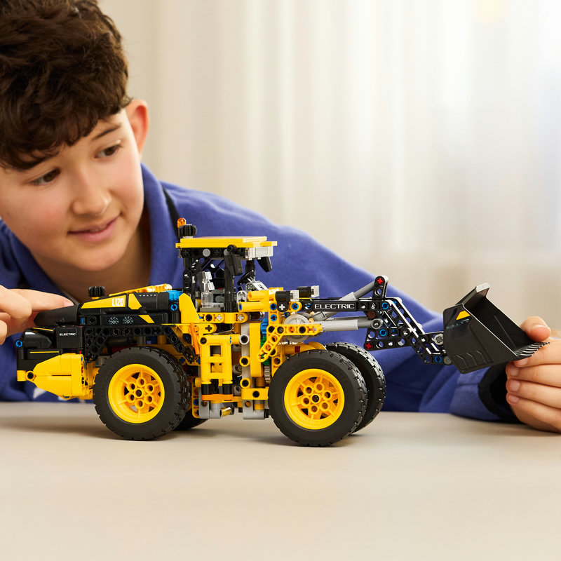 42209-Lego-EOL-Sammler-AFOL-Steinebank-Rarität-Life.jpg
