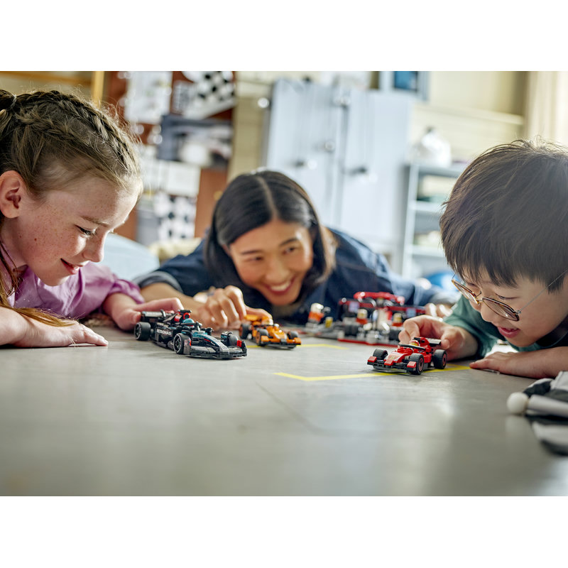 77244-Lego-EOL-Sammler-AFOL-Steinebank-Rarität-Life.jpg