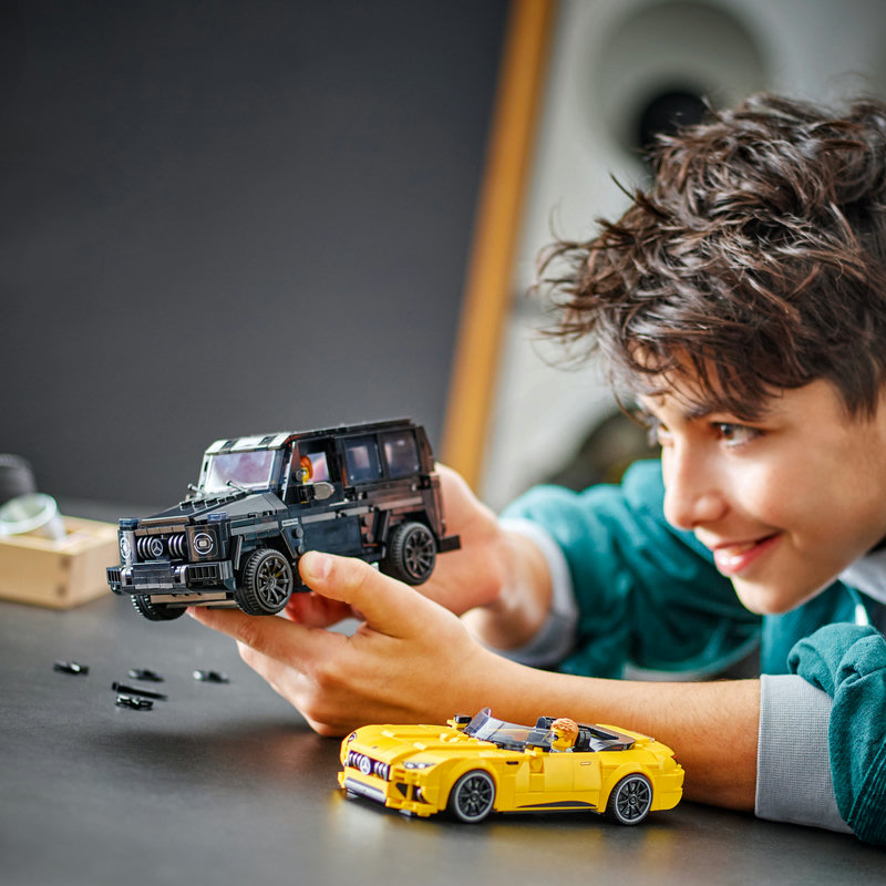 76924-Lego-EOL-Sammler-AFOL-Steinebank-Rarität-Life.jpg