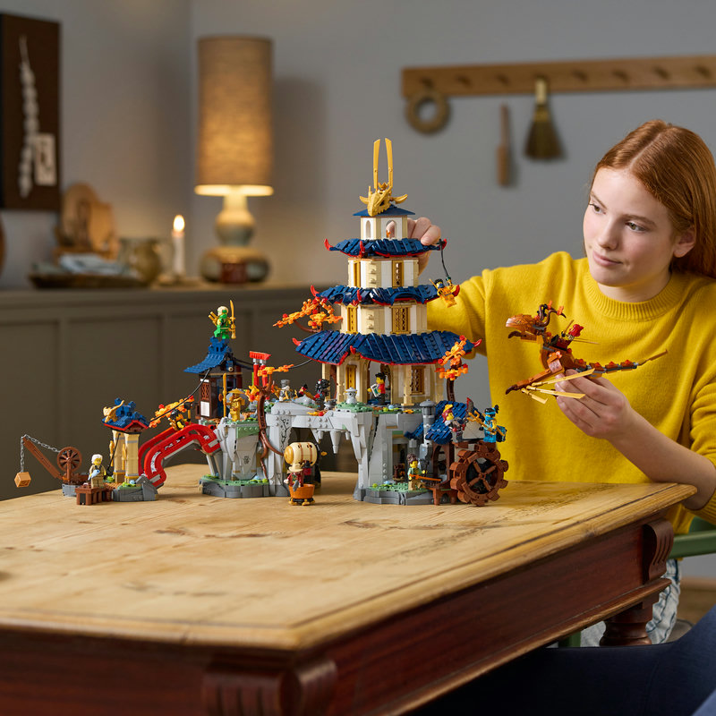 71814-Lego-EOL-Sammler-AFOL-Steinebank-Rarität-Life.jpg
