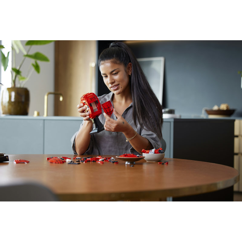 76285-Lego-EOL-Sammler-AFOL-Steinebank-Rarität-Life.jpg