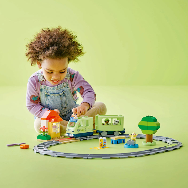 10427-Lego-EOL-Sammler-AFOL-Steinebank-Rarität-Life.jpg