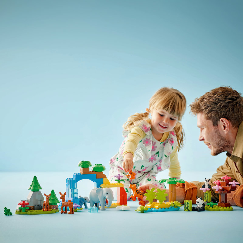 10446-Lego-EOL-Sammler-AFOL-Steinebank-Rarität-Life.jpg