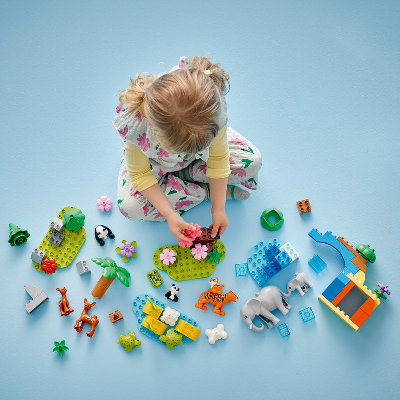 10446Lifestyle2-Lego-EOL-Sammler-AFOL-Steinebank-Rarität-.jpg