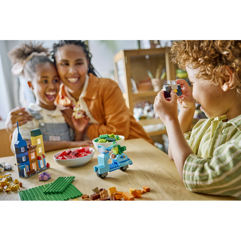 10698-Lego-EOL-Sammler-AFOL-Steinebank-Rarität-Life.jpg