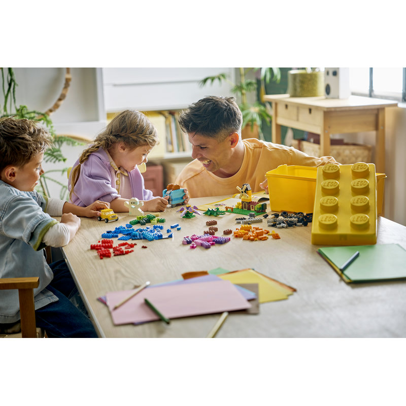 10696-Lego-EOL-Sammler-AFOL-Steinebank-Rarität-Life.jpg