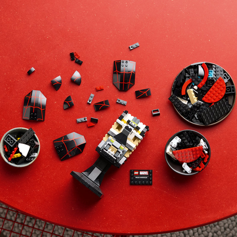 76329Lifestyle2-Lego-EOL-Sammler-AFOL-Steinebank-Rarität-.jpg