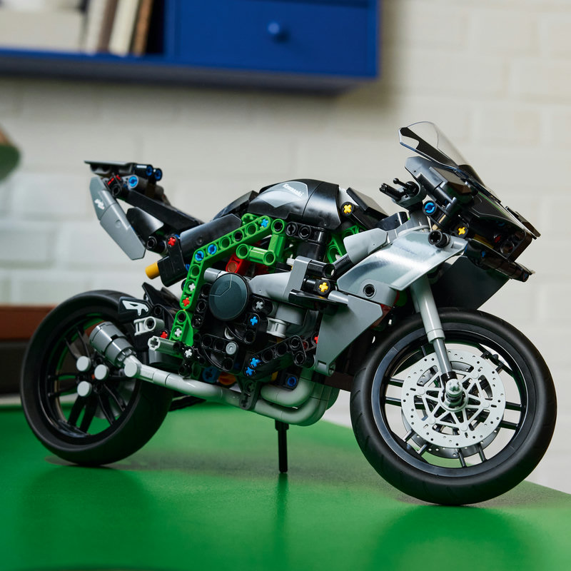 42170Lifestyle3-Lego-EOL-Sammler-AFOL-Steinebank-Rarität-.jpg