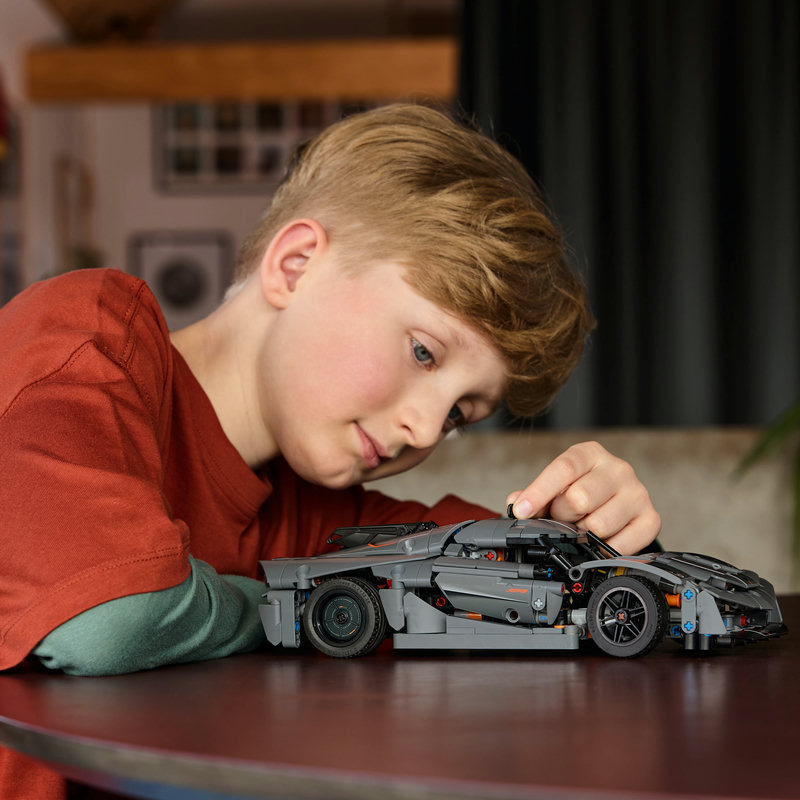 42173-Lego-EOL-Sammler-AFOL-Steinebank-Rarität-Life.jpg