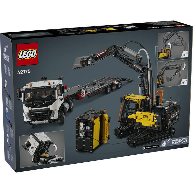 42175-Lego-EOL-Sammler-AFOL-Steinebank-Rarität-Back.jpg