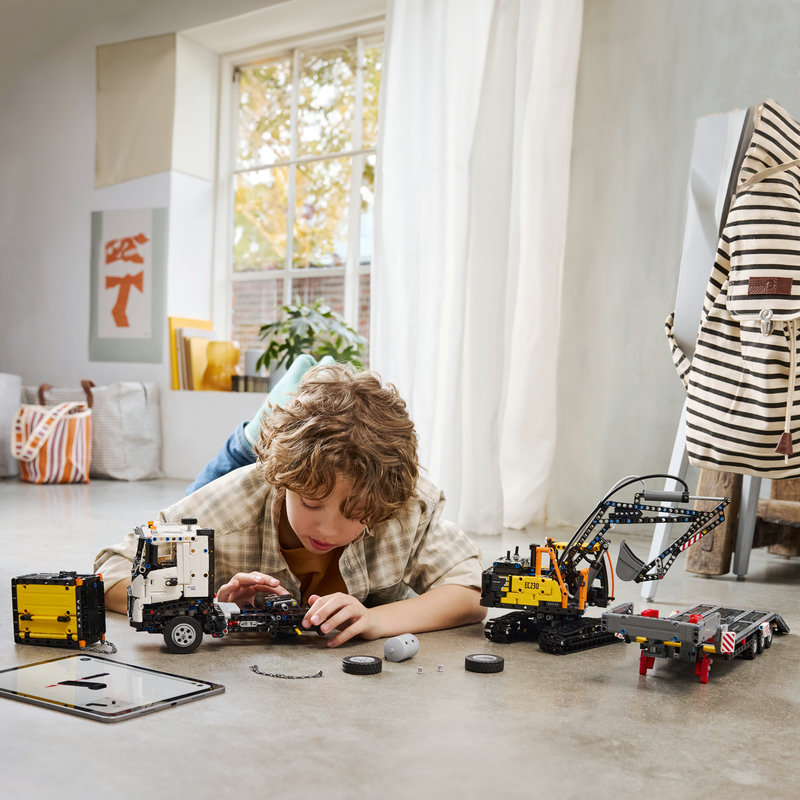 42175Lifestyle2-Lego-EOL-Sammler-AFOL-Steinebank-Rarität-.jpg