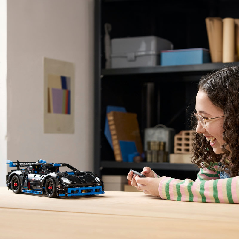 42176-Lego-EOL-Sammler-AFOL-Steinebank-Rarität-Life.jpg