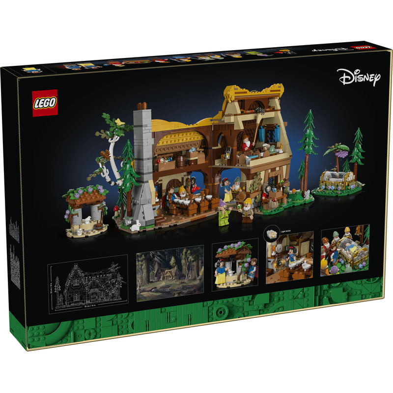 43242-Lego-EOL-Sammler-AFOL-Steinebank-Rarität-Back.jpg