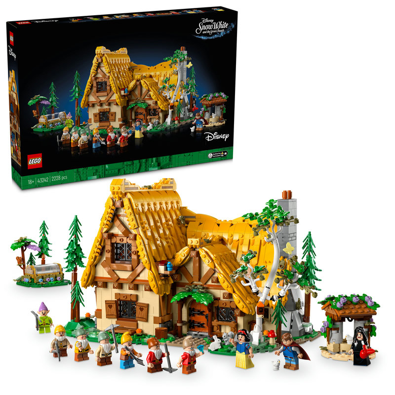 43242-Lego-EOL-Sammler-AFOL-Steinebank-Rarität-Box.jpg