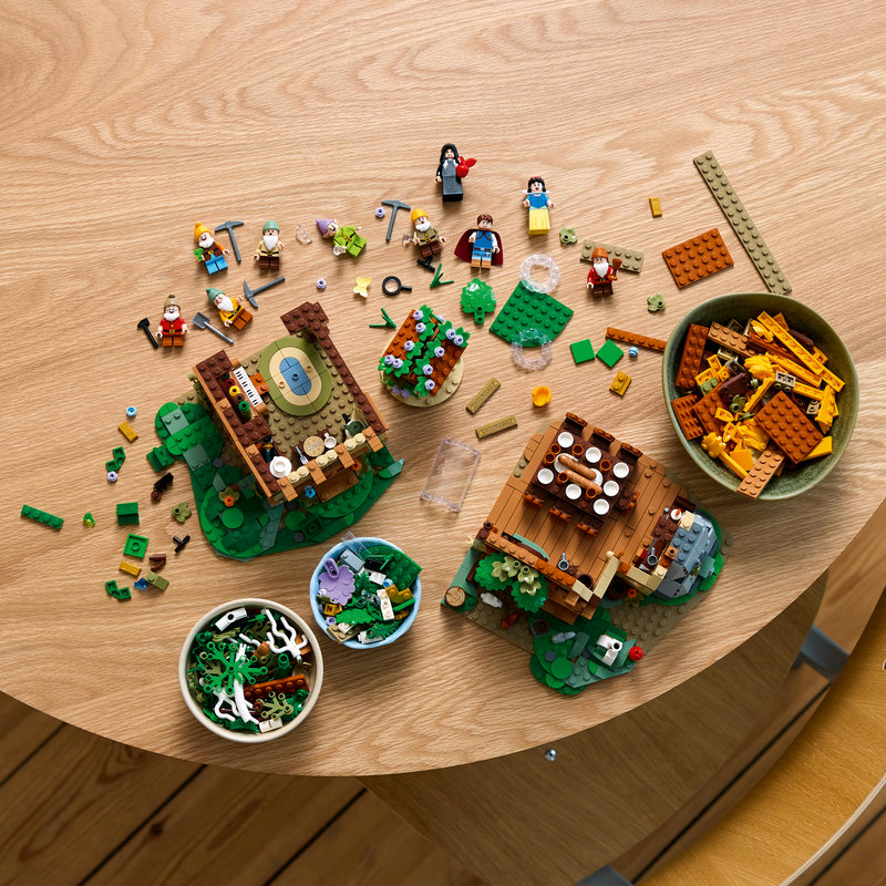 43242Lifestyle2-Lego-EOL-Sammler-AFOL-Steinebank-Rarität-.jpg
