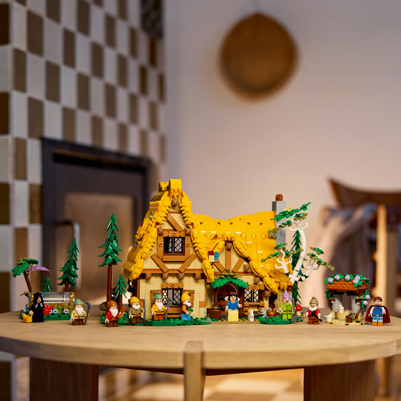 43242Lifestyle3-Lego-EOL-Sammler-AFOL-Steinebank-Rarität-.jpg