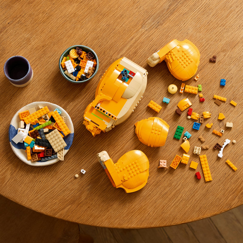 43247Lifestyle2-Lego-EOL-Sammler-AFOL-Steinebank-Rarität-.jpg