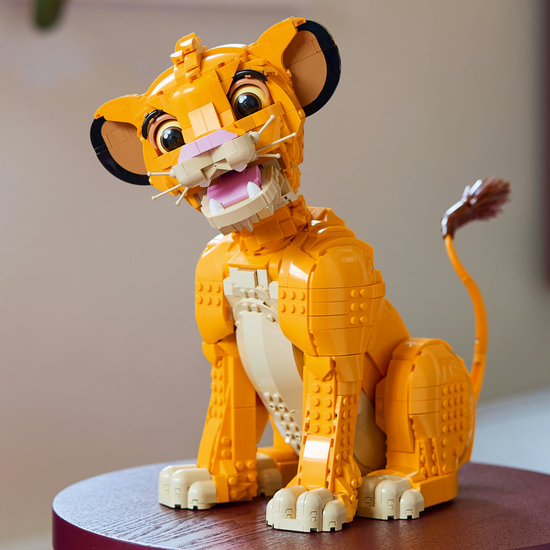 43247Lifestyle3-Lego-EOL-Sammler-AFOL-Steinebank-Rarität-.jpg
