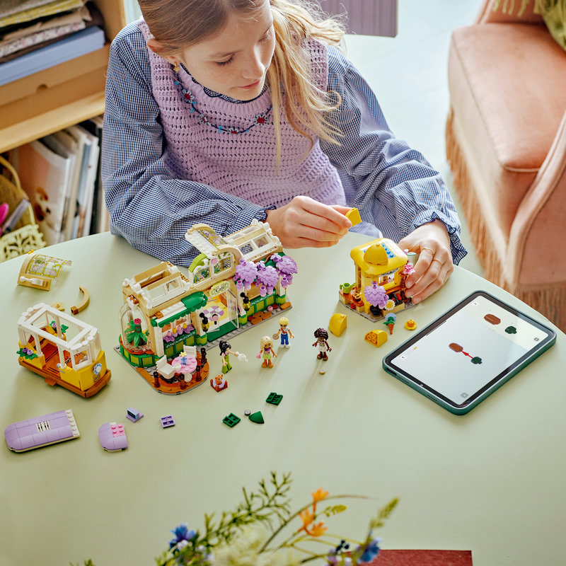 42671Build-Lego-EOL-Sammler-AFOL-Steinebank-Rarität-.jpg