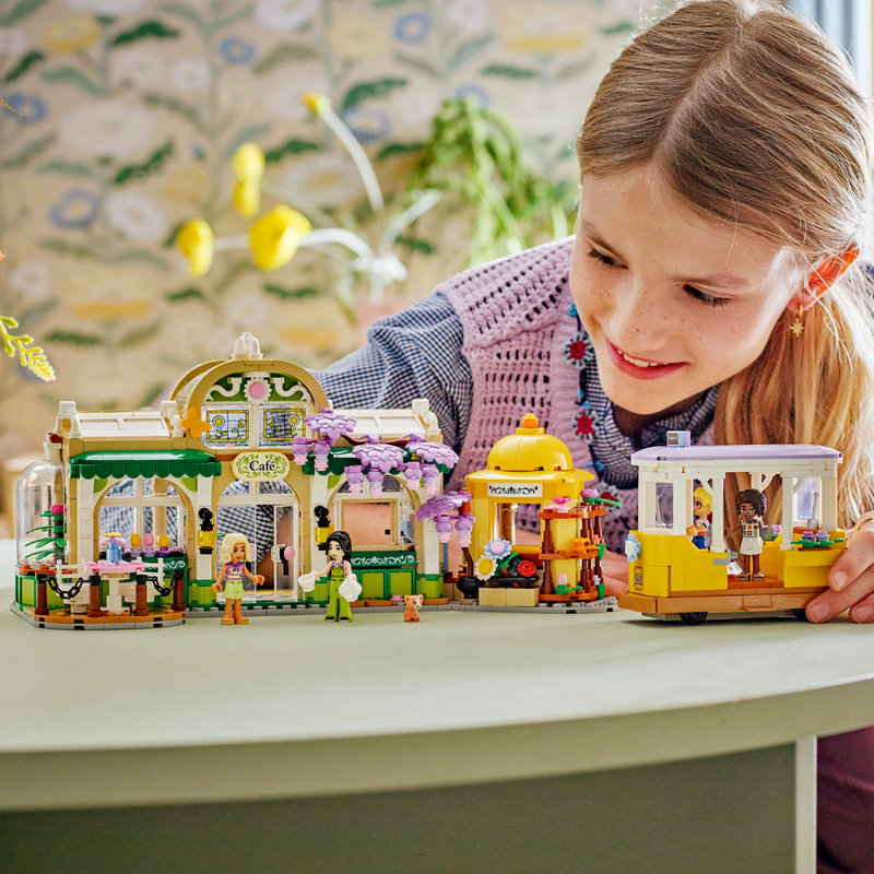 42671-Lego-EOL-Sammler-AFOL-Steinebank-Rarität-Life.jpg